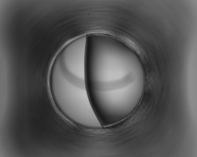 X0000098051084200803280725