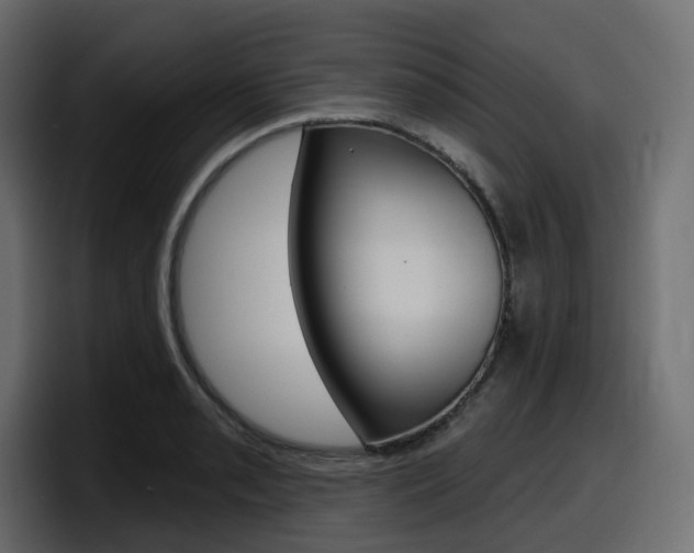 X0000098051085200803280725