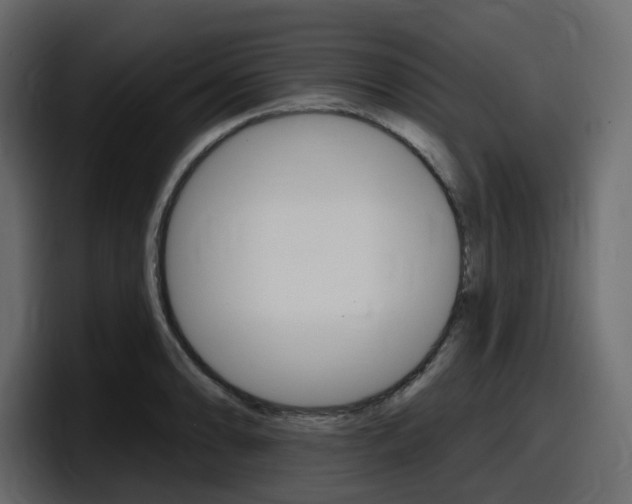 X0000098051086200803280725