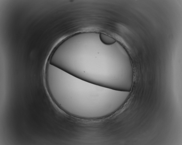 X0000098051087200803280725