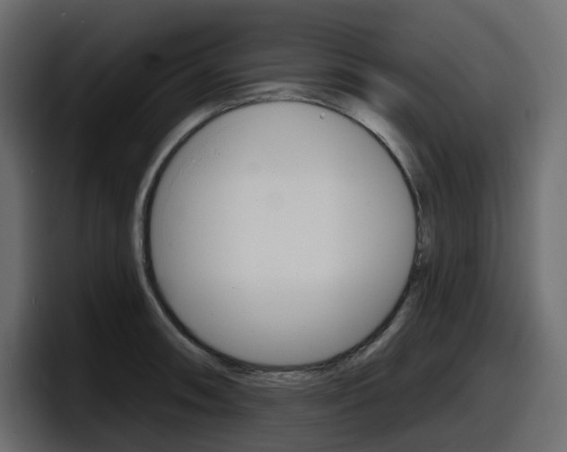 X0000098051090200803280725