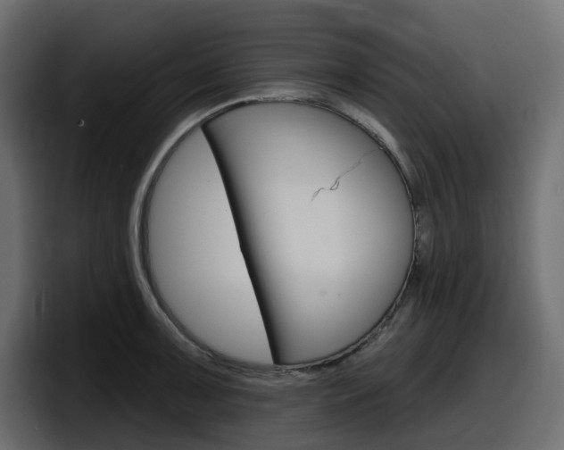 X0000098051091200803280725