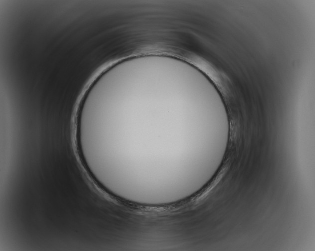 X0000098051094200803280725