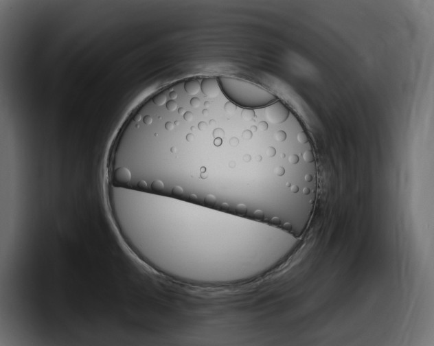 X0000098051095200803280725