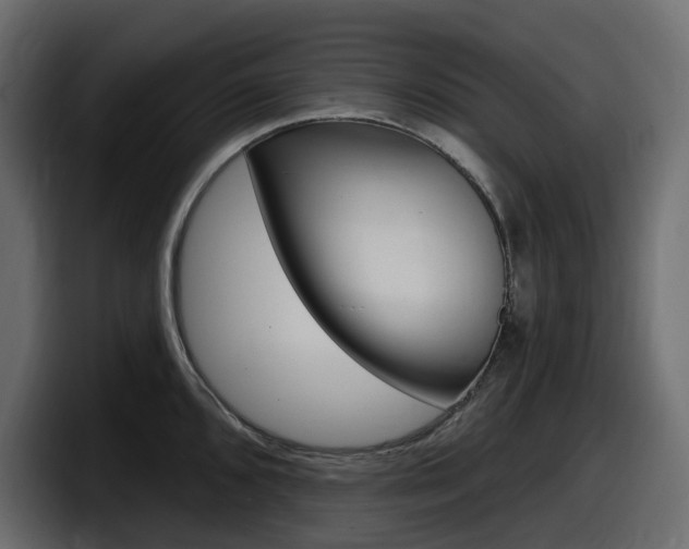 X0000098051096200803280725