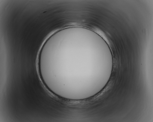 X0000098051098200803280725