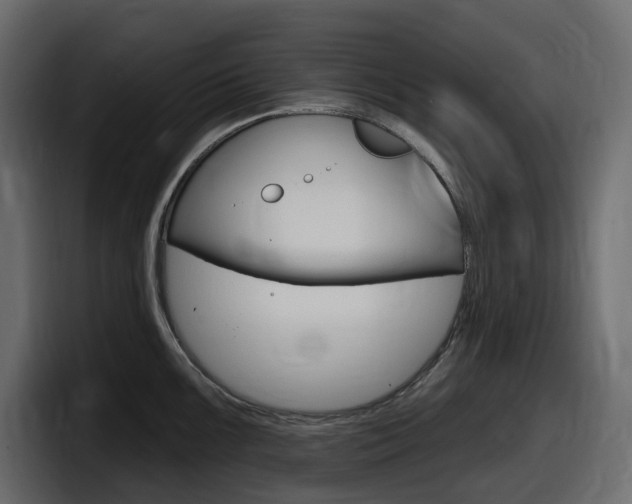 X0000098051099200803280725