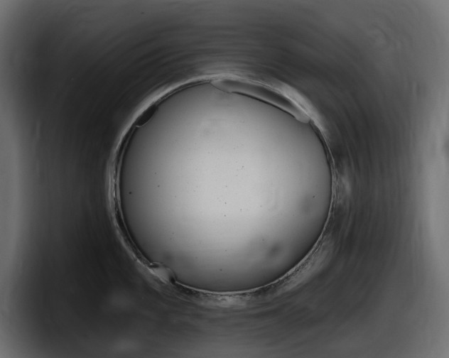 X0000098051101200803280725