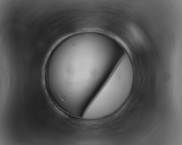 X0000098051102200803280725
