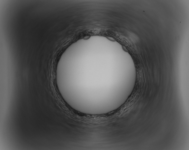 X0000098051105200803280724