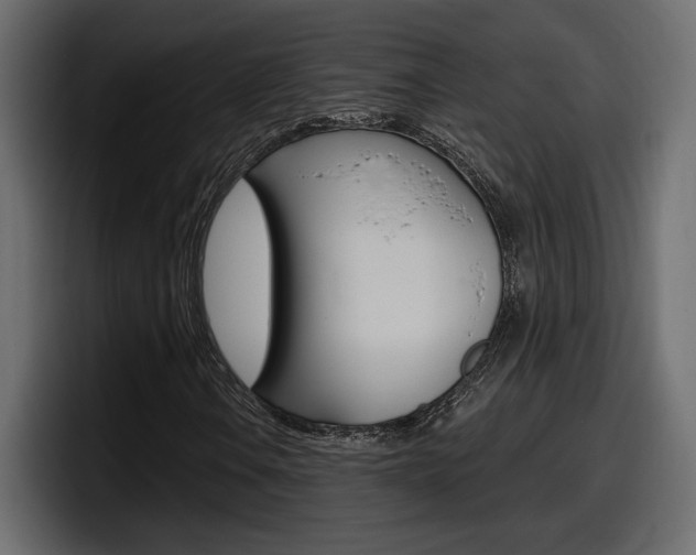 X0000098051106200803280724