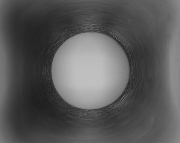 X0000098051107200803280724
