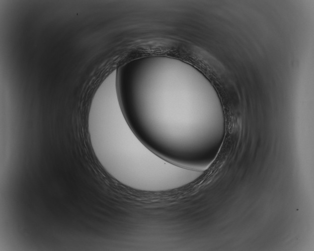 X0000098051108200803280724