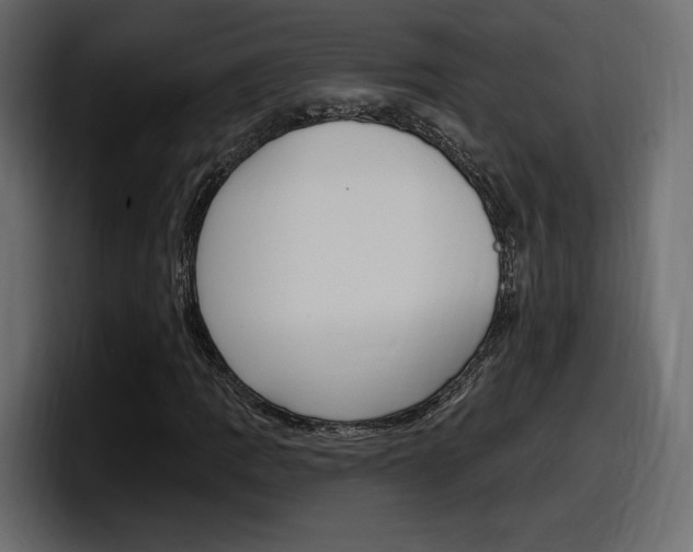 X0000098051109200803280724
