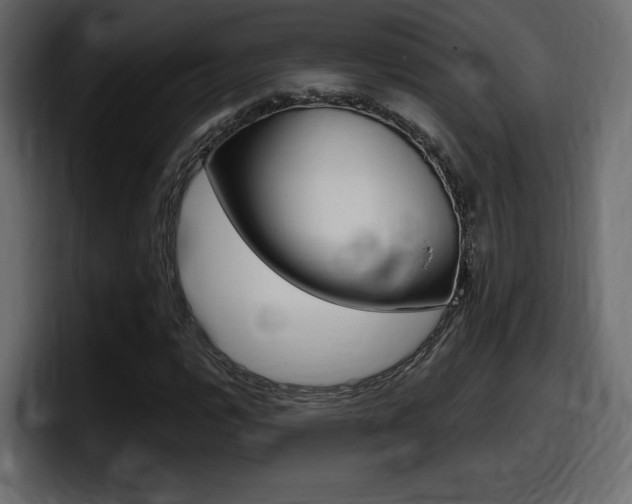 X0000098051112200803280724