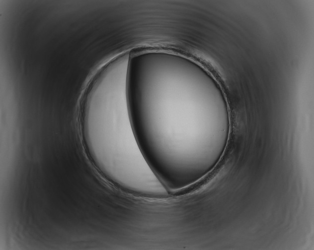 X0000098051114200803280724