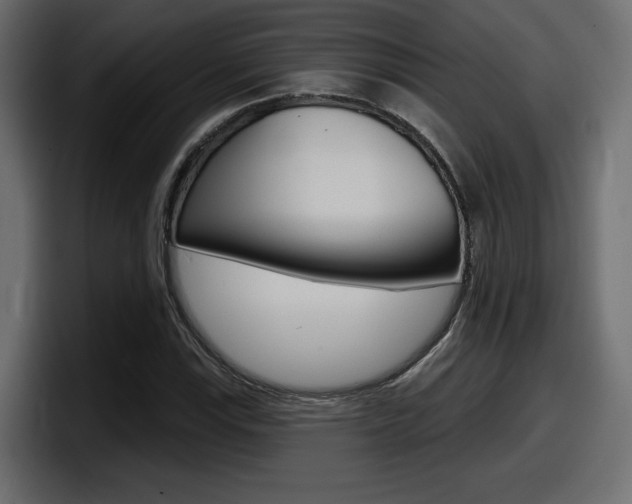X0000098051115200803280724