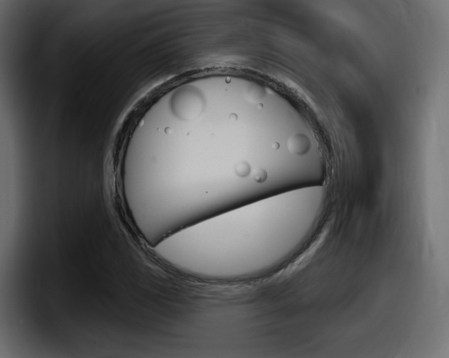 X0000098051117200803280725