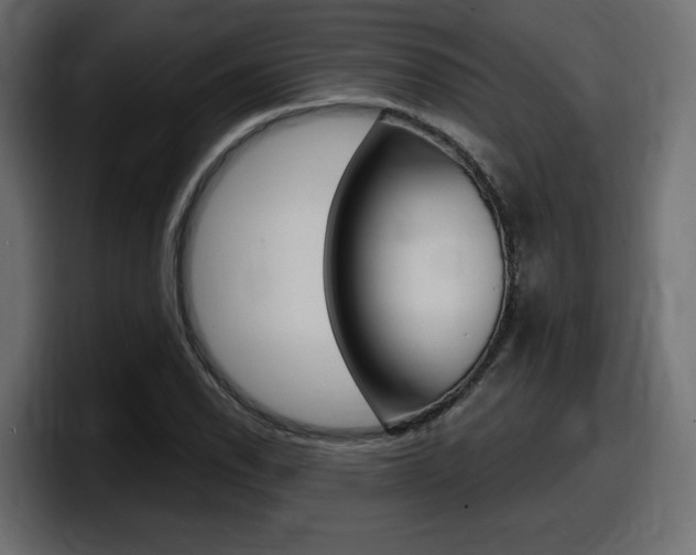 X0000098051118200803280725