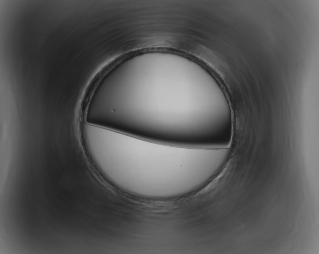 X0000098051119200803280725