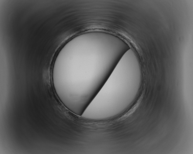 X0000098051121200803280725