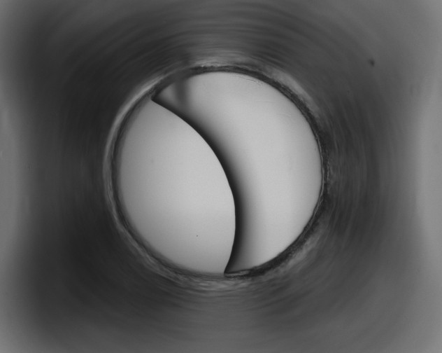 X0000098051122200803280725
