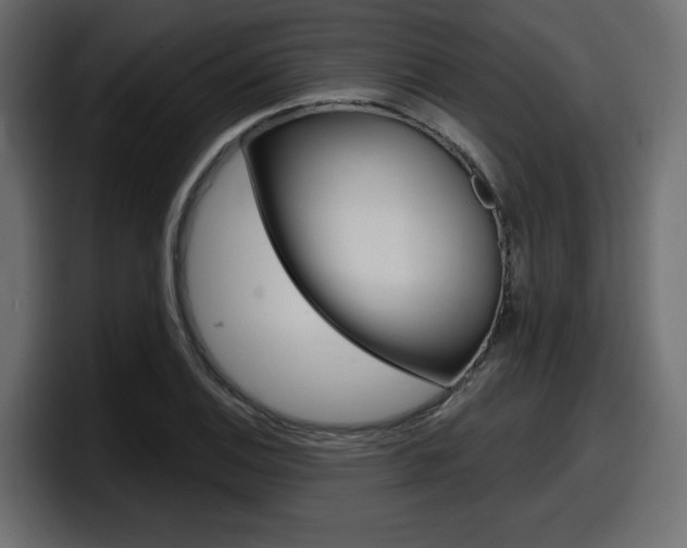 X0000098051124200803280725