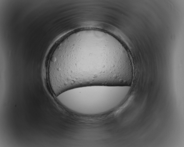 X0000098051125200803280725