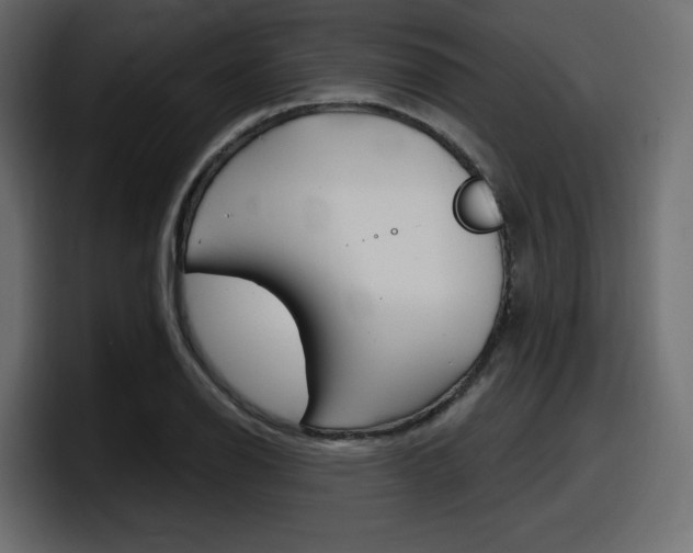 X0000098051126200803280725
