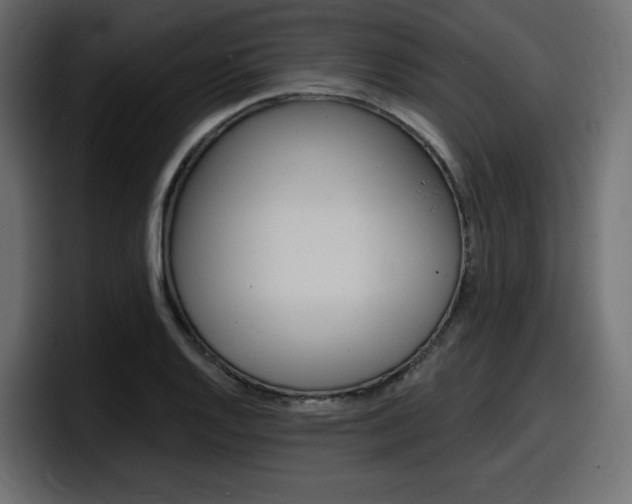 X0000098051128200803280725
