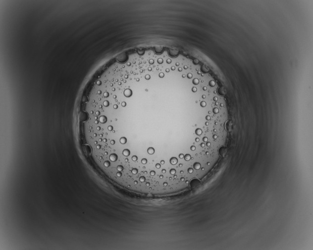 X0000098051130200803280725