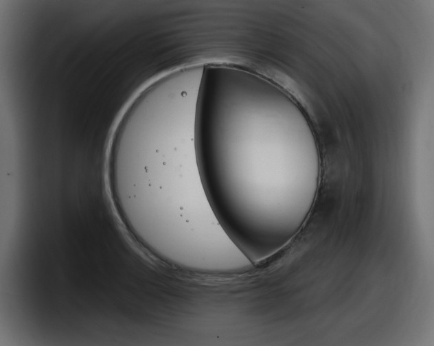 X0000098051132200803280725