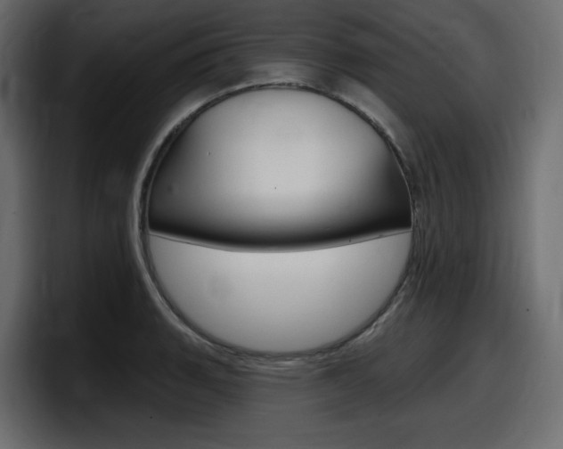 X0000098051135200803280725