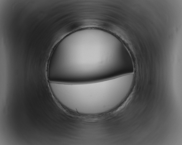 X0000098051137200803280725