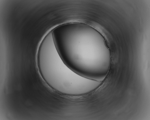 X0000098051140200803280725