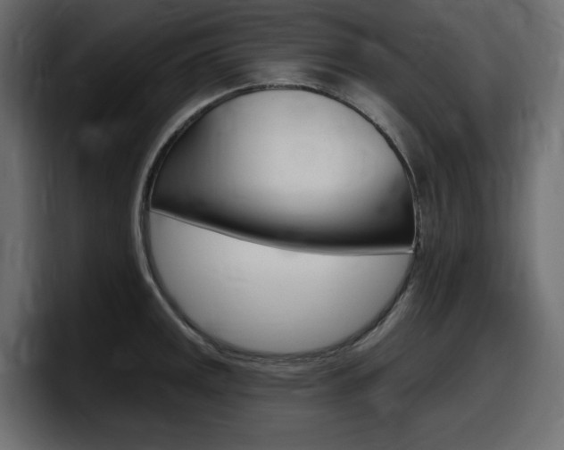 X0000098051141200803280725