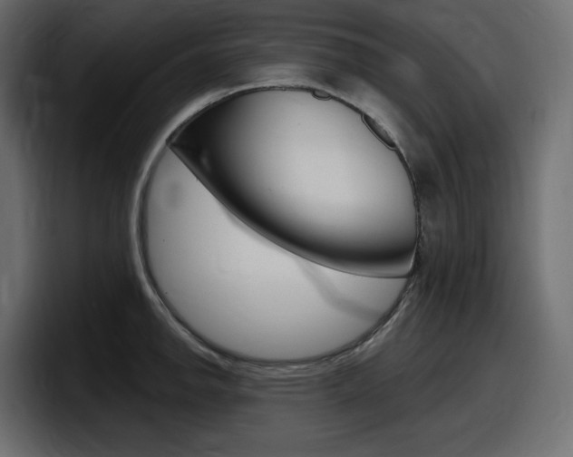 X0000098051142200803280725