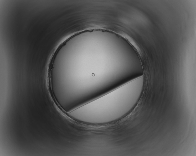 X0000098051143200803280725