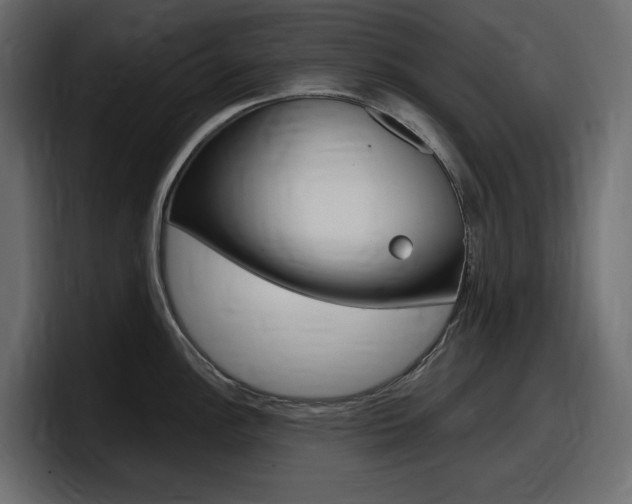 X0000098051148200803280725