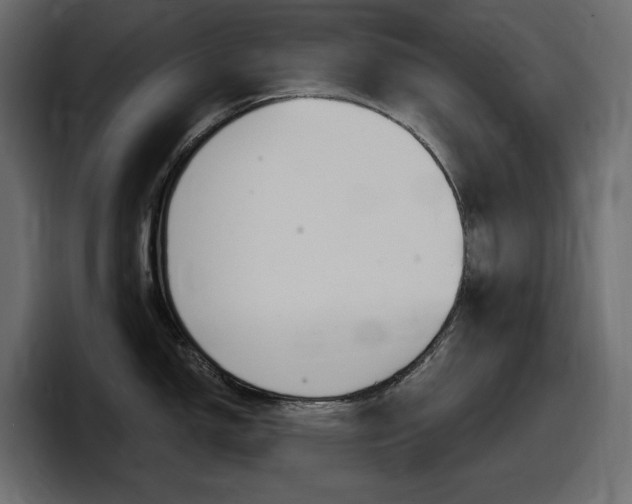 X0000098051150200803280725