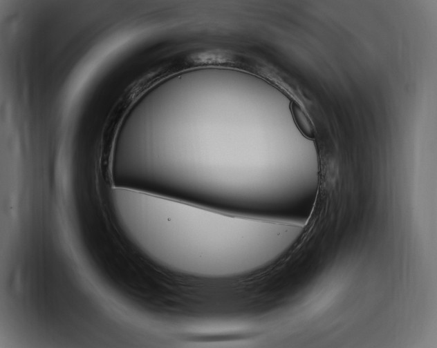 X0000098051151200803280725