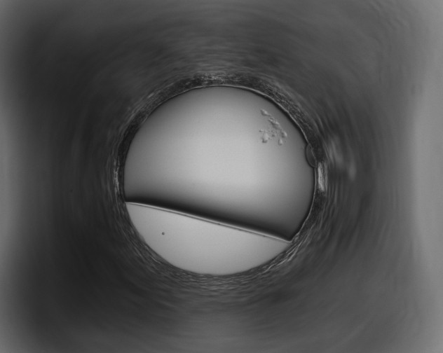 X0000098051155200803280724