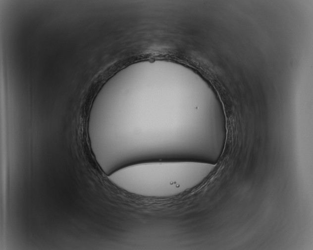 X0000098051158200803280724