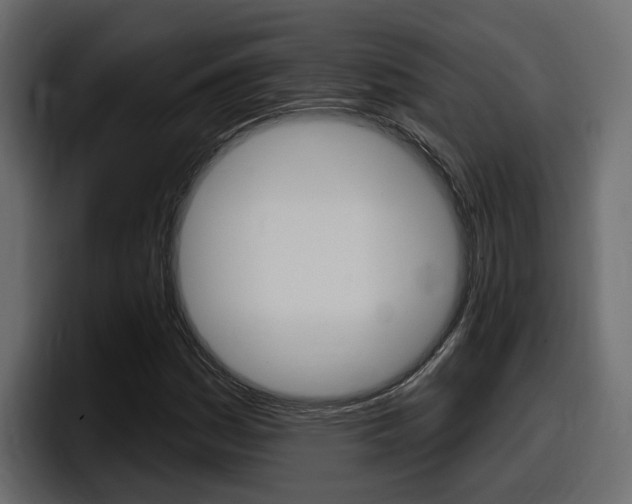 X0000098051161200803280724