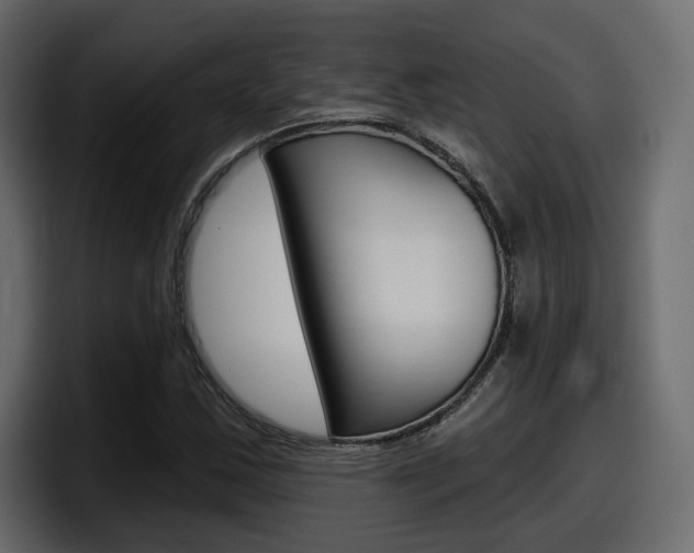 X0000098051163200803280724