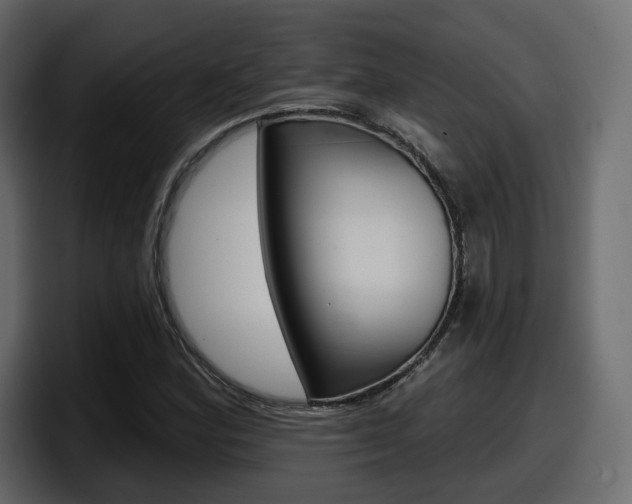 X0000098051164200803280724