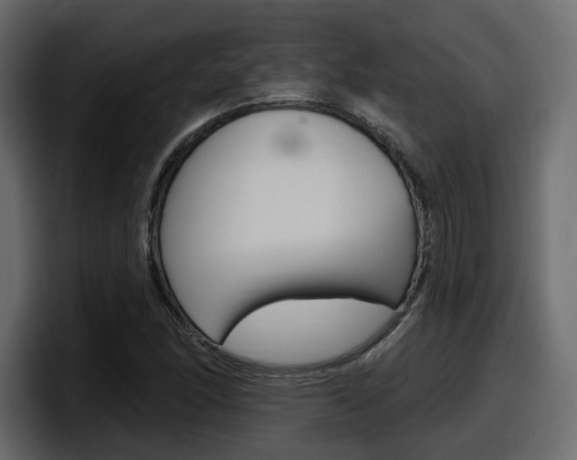 X0000098051166200803280724