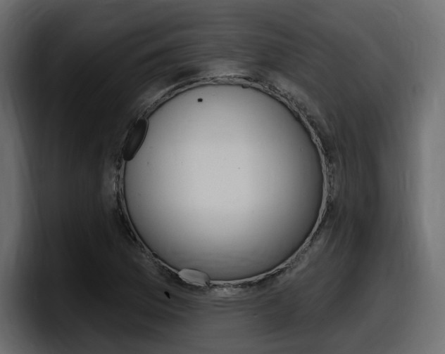 X0000098051169200803280724