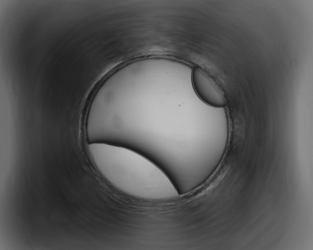 X0000098051170200803280724