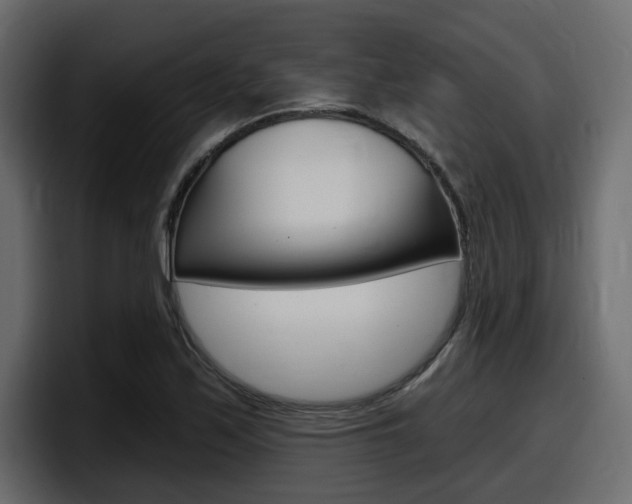 X0000098051171200803280724